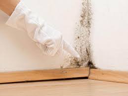 Best Commercial Mold Inspection in Madera Acres, CA